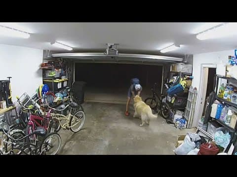 How to prevent crimes of opportunity as Crime Prevention Week kicks off