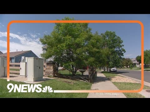 Man convicted for fatally shooting teen who tried to steal his car