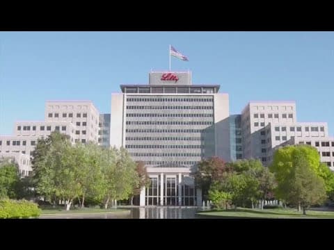 FDA delay's Eli Lilly's experimental Alzheimer's drug