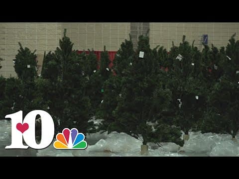 Fantasy of Trees preps for annual fundraiser for East Tennessee Children's Hospital