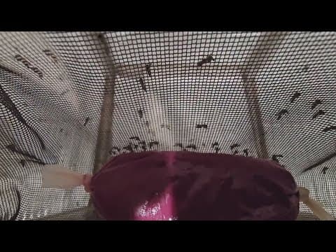 Here's how to avoid mosquito-borne illnesses