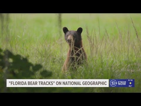 Sitting down with Emmy-winning conservationist about new Florida-based film