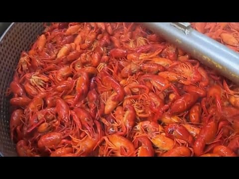 Crawfish prices expected to be much lower this year, but could be in short supply at start of season