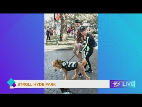 3rd Annual STROLL Hyde Park Pet Parade