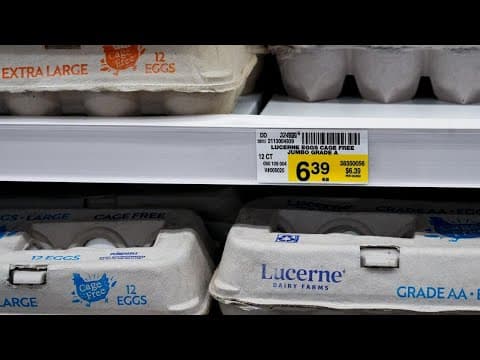 Trader Joe's limiting how many eggs you can buy due to bird flu