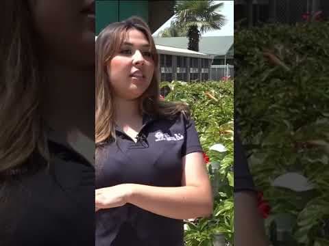 Chula Vista Animal Center creates “Bunny Garden” to help ease shelter overcrowding in San Diego.