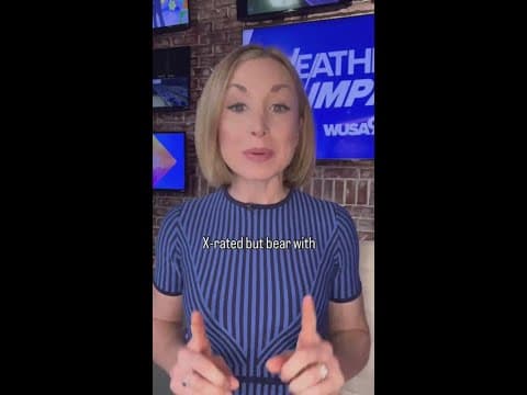 Spider: 1 Lanternfly: 0 🕸️ Why this circle of life moment is a good thing