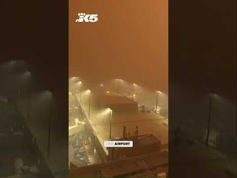 Massive Dust Storm Halts Flights at Phoenix Airport