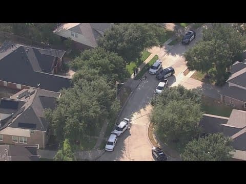 Man turns himself in after stabbing his mother to death at their Sugar Land home, police say