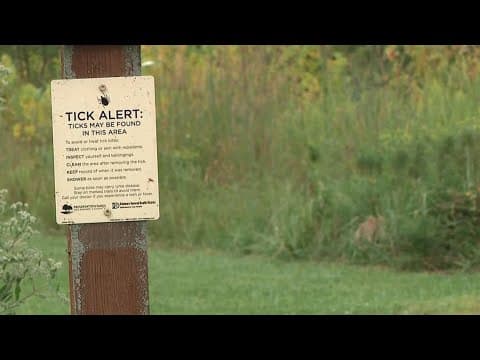 How to protect yourself from tick bites this summer