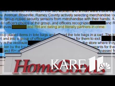 Roseville police arrest 29 in anti-shoplifting initiative