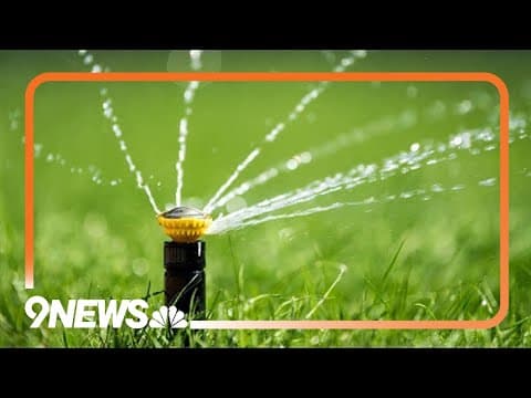 Denver begins summer watering rules for 2025