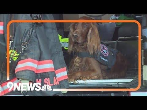 Therapy dog boosts mental health of West Metro firefighters