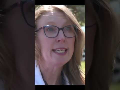 Colorado launches new ‘last resort’ homeowners insurance option