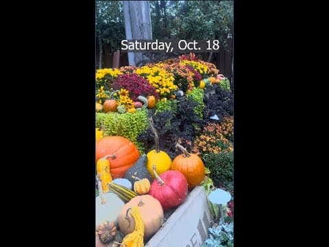 What to do this weekend in Minneapolis