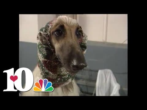 WBIR Vault: Schwall's World Best of 1995