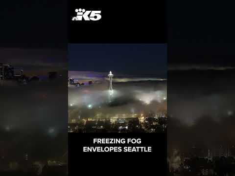 Freezing fog envelopes Seattle on the morning of 11/28/23