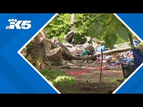 4 people arrested in 'disturbing' assault at Olympia encampment