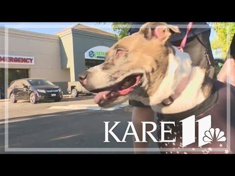 California dog saves owner during house fire