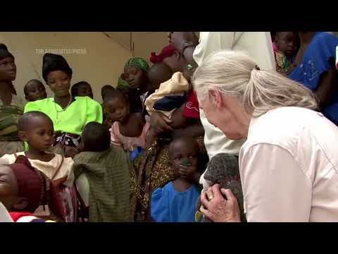 Environmentalists recall life and influence of primatologist Jane Goodall