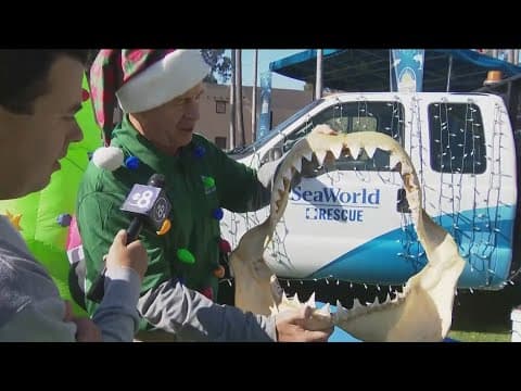 December Nights in Balboa Park Dec 6, 2024 | Food, music, exhibits, museums prepare for crowds