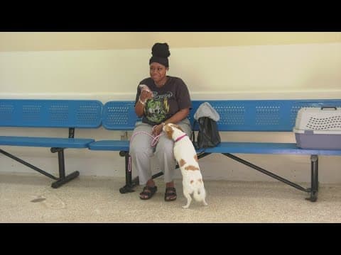 Houston Humane Society celebrated pet moms this Mother's Day weekend