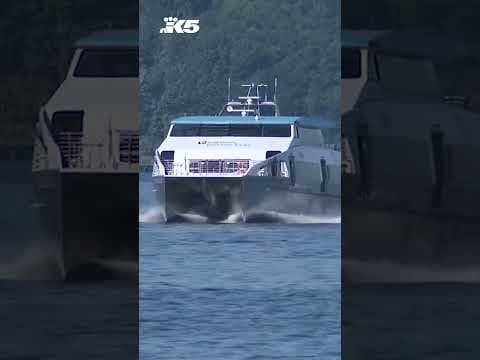 Water taxis proving a popular option for mid-day commutes