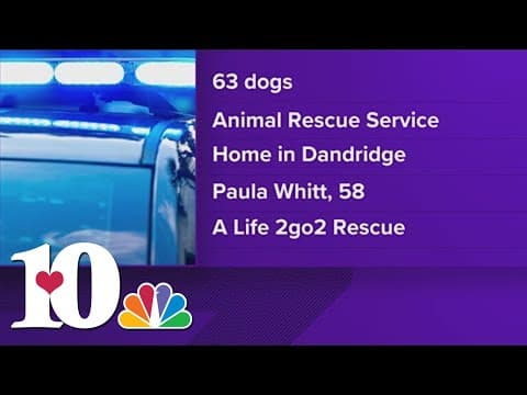 1 person arrested on 55 counts of aggravated animal cruelty in Jefferson Co., 63 dogs found at home