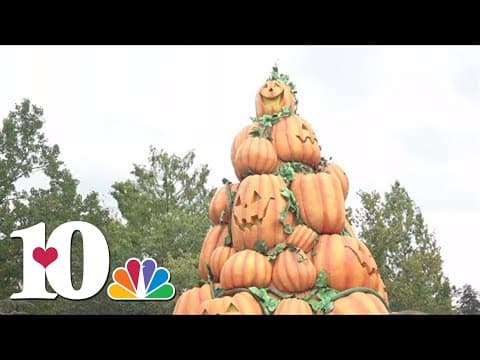 Dollywood kicks off Harvest Fest