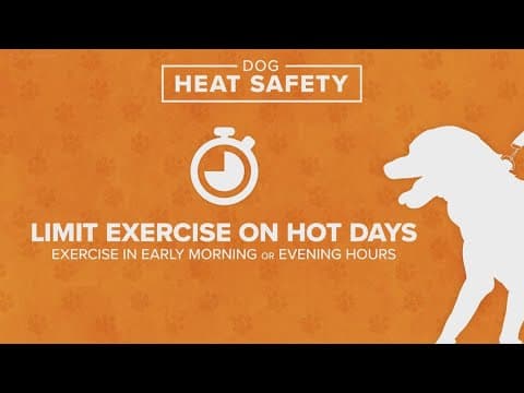 Tips on preventing heat-related illness if you have to be outside in extreme temperatures