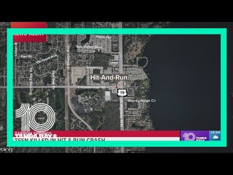 17-year-old killed in hit-and-run; Tarpon Springs police search for truck involved
