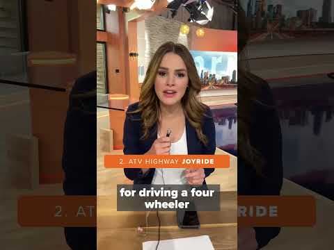 #3things with #kare11 #sunrisers: wildlife, wild rides and not-so-wild weather! #shorts