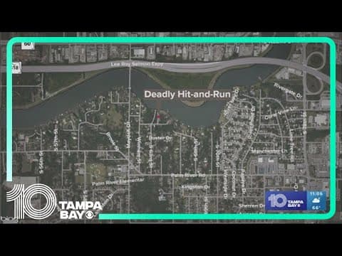 Deputies looking for driver who killed man in Tampa hit-and-run crash