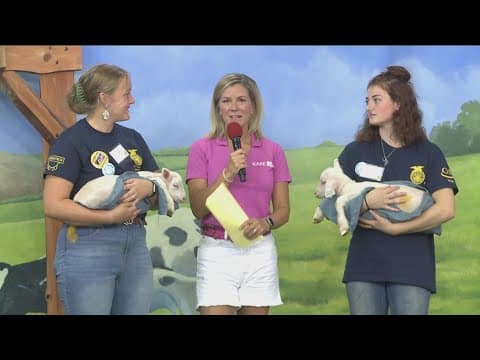 Miracle of Birth bring baby animals to the KARE Barn