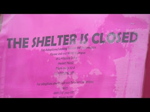 Fort Worth shelter closing to the public, suspending intakes amid CDV outbreak