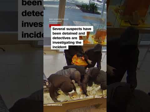 Brazen jewelry store robbery caught on camera