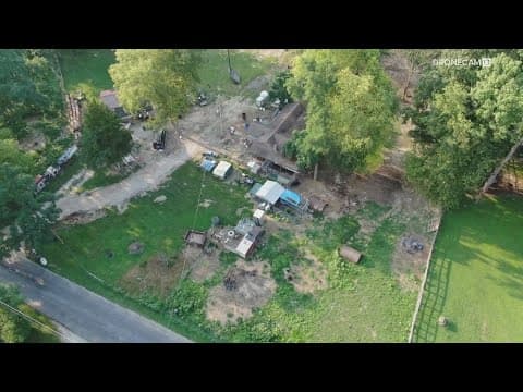 384 animals seized amid abuse allegations