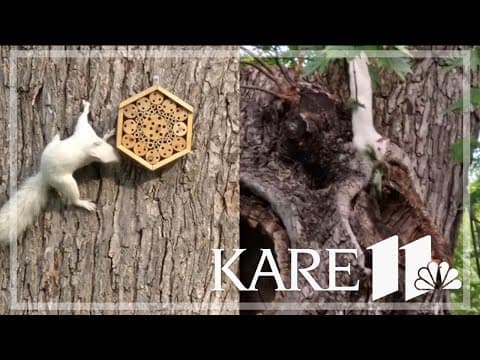 Your Good News: Kate Strunk Furst, Robert Dixon