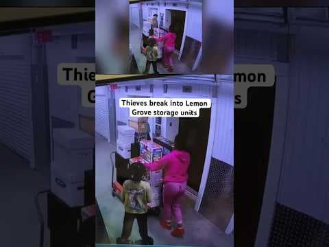 Thieves, including a child break into storage units and walk away with thousands of dollars in items