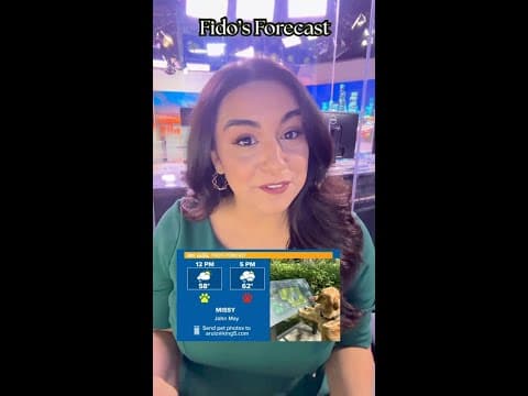 How to get your pet featured on Fido’s Forecast