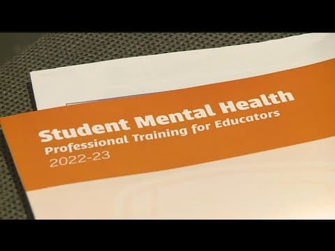 Minnesota teachers attend classes during MEA break