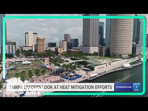 Tampa leaders look to increase tree canopies to mitigate heat