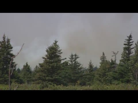 Wildfires in Canada causing air quality alerts across parts of the US