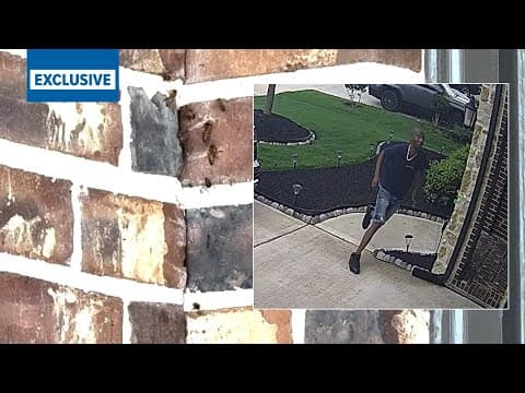 Thousands of bees nesting in walls of Fulshear house terrorizing homeowner