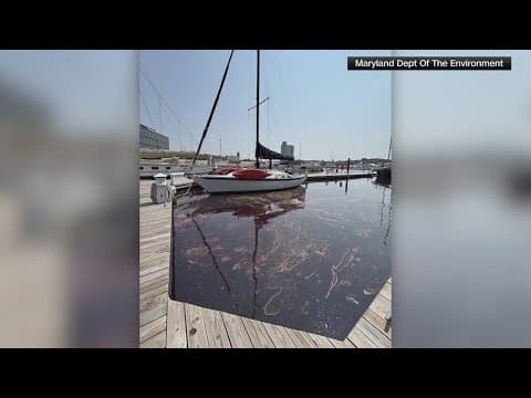 Baltimore hospital being blamed for massive oil spill