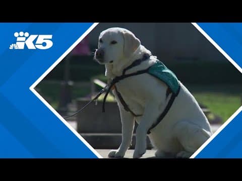 Seattle nonprofit targeted by overpayment scam now warning others