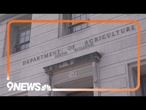 Fort Collins mayor reacts to news about federal government employees relocating to city