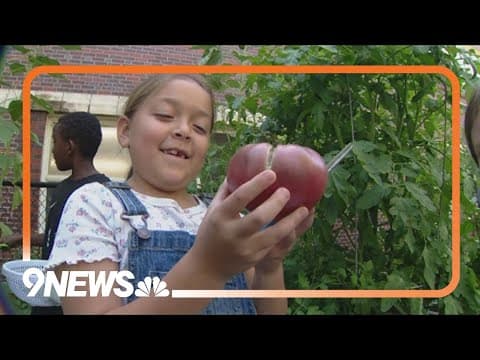 DPS students harvest garden to support school pantry