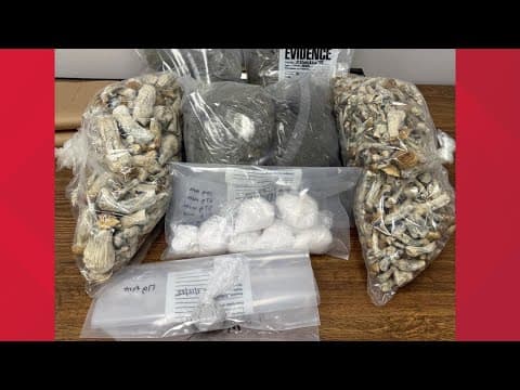 2 arrested in Indianapolis narcotics investigation