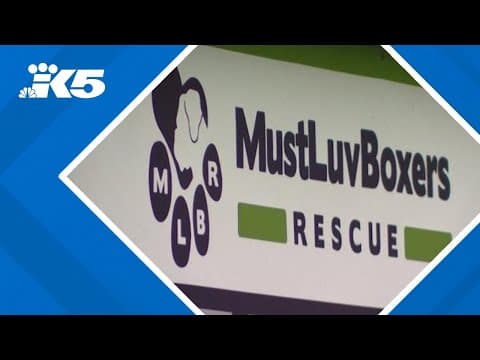 Beloved Stanwood dog rescue in need of rescuing